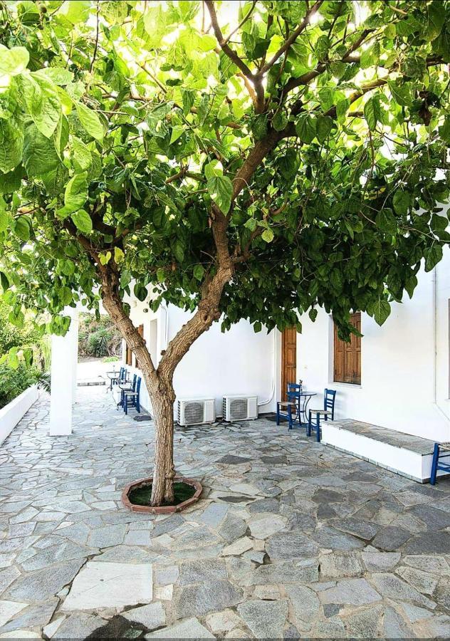 סקירוס Mavrikou Helen Apartments מראה חיצוני תמונה