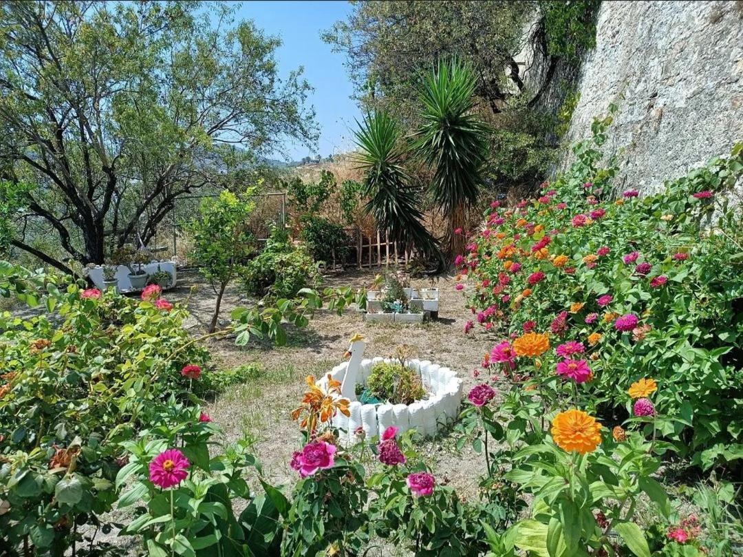 סקירוס Mavrikou Helen Apartments מראה חיצוני תמונה