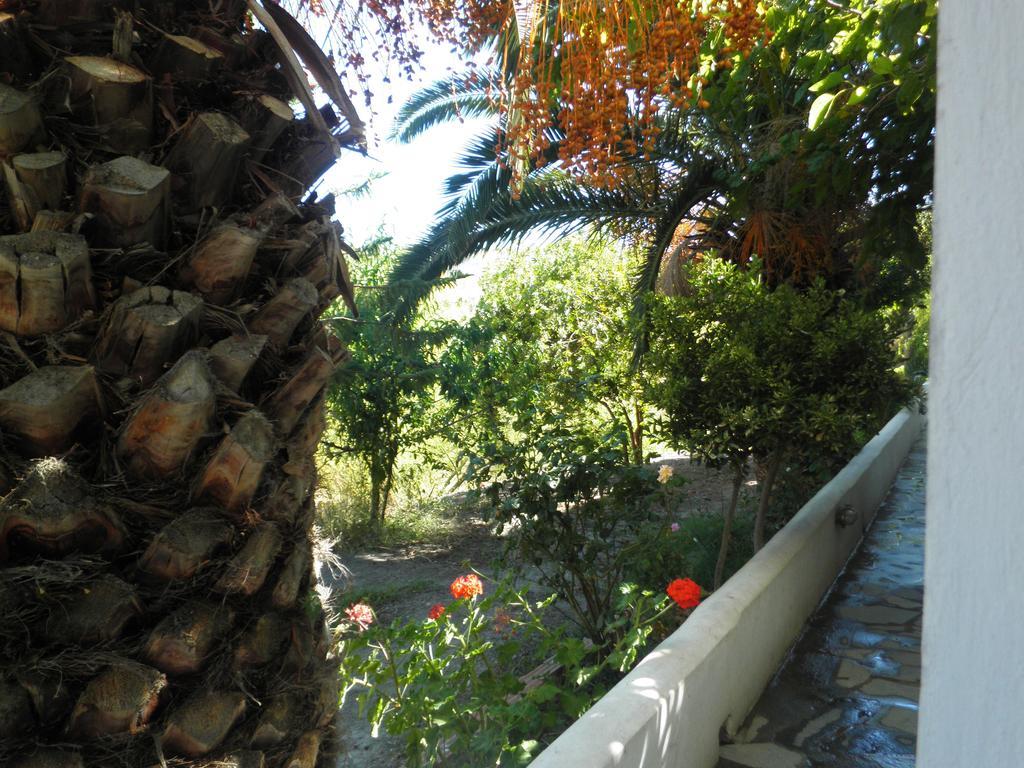 סקירוס Mavrikou Helen Apartments חדר תמונה